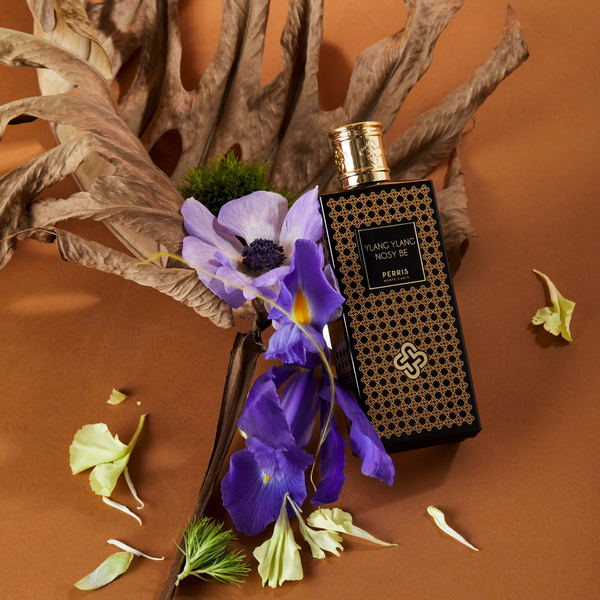 Ylang Ylang Nosy Be PERRIS MONTE CARLO